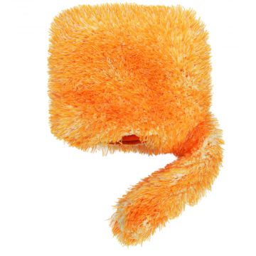 CarPro FairyTail (ennakko 2025)